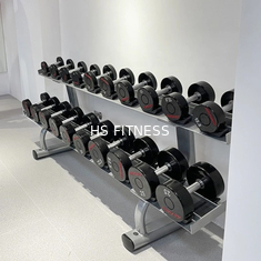 Gewichtsopslag in de sportschool Dubbellaag 10 Pair Dumbbell Rack