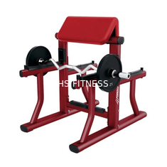 Commerciële Arm Curl Bank Prediker Curl Gym Bank