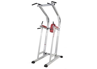 Commercieel de Gymnastiekmateriaal Sterkte Bijgestaan Chin Dip Leg Raise Machine van de het levensgeschiktheid