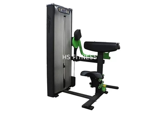 Professioneel Matrijssterkte Opleidingsmateriaal/de Krulmachine van Gymnastiekoefening Gezette Bicepsen