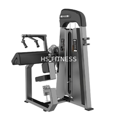 Commerciële Gezette Tricepsmachine voor de Training van de Gymnastiekclub