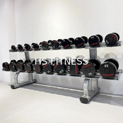 Gewichtsopslag in de sportschool Dubbellaag 10 Pair Dumbbell Rack