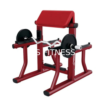 Commerciële Arm Curl Bank Prediker Curl Gym Bank