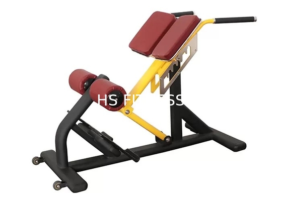 Commercieel van het de Bankrek van het Gymnastiekgewicht de Geschiktheidsmateriaal Roman Ab Exercise Chair