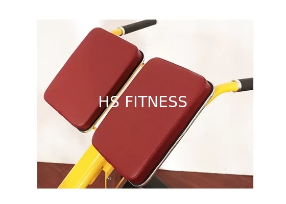 Commercieel van het de Bankrek van het Gymnastiekgewicht de Geschiktheidsmateriaal Roman Ab Exercise Chair