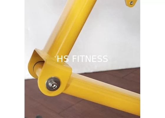 Commercieel van het de Bankrek van het Gymnastiekgewicht de Geschiktheidsmateriaal Roman Ab Exercise Chair