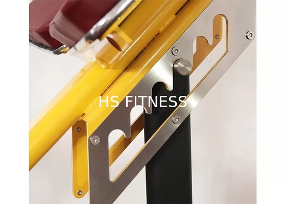 Commercieel van het de Bankrek van het Gymnastiekgewicht de Geschiktheidsmateriaal Roman Ab Exercise Chair
