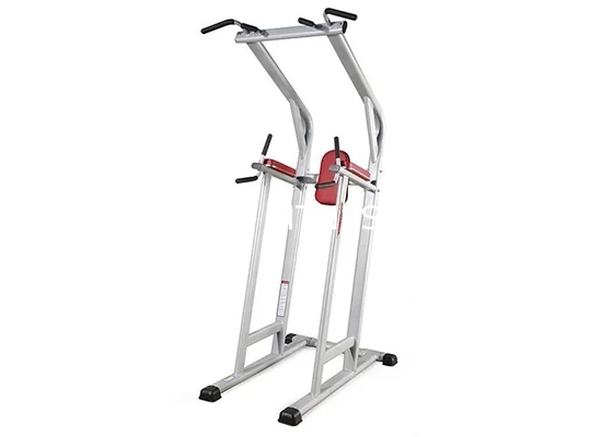 Commercieel de Gymnastiekmateriaal Sterkte Bijgestaan Chin Dip Leg Raise Machine van de het levensgeschiktheid