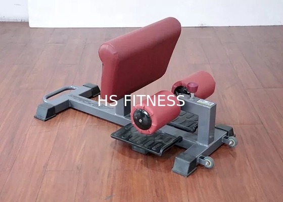 Het Lichaamsbouw van commerciële Rang de Regelbare Sissy Squat Rack Machine For