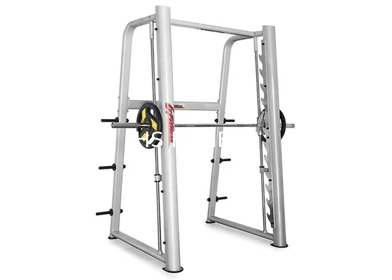 Het professionele van de het Materiaal Hurkende Macht van de Commerciële Ranggymnastiek Rek Smith Machine