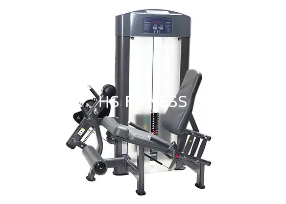 Het Levensfitness van gymnastieksporten Sterktemateriaal/de Gezette Machine van de Beenuitbreiding