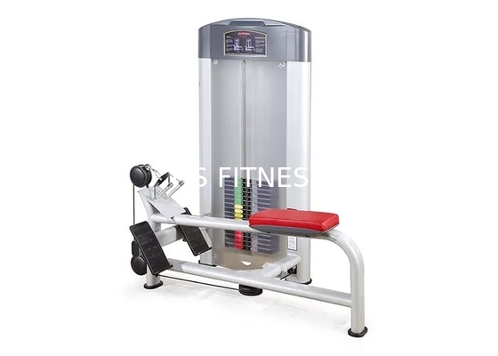 Het Materiaal van de de Geschiktheidssterkte van het opleidingsleven/Lage Katrolmachine met Staalkader