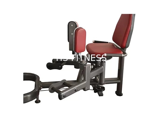 Functionele van het de Heupbeen van de het Levensgeschiktheid de Aanhalingsmachine 3.5mm Elliptische Buis
