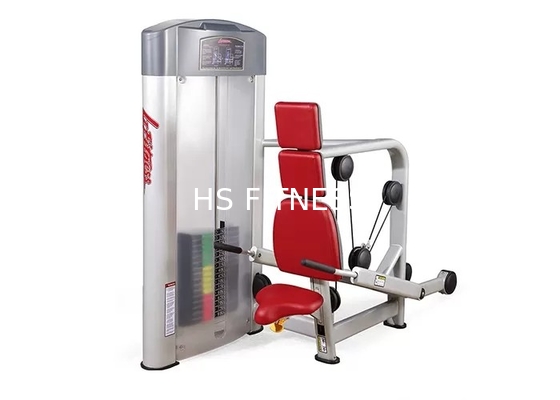 HS van het strookkader Gymnastiekmateriaal, de Persmachine van Bodybuilding Tricep