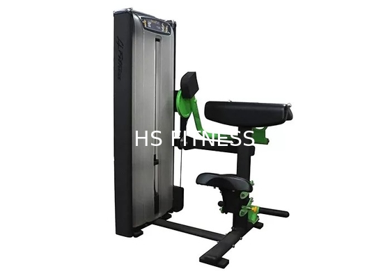 Professioneel Matrijssterkte Opleidingsmateriaal/de Krulmachine van Gymnastiekoefening Gezette Bicepsen