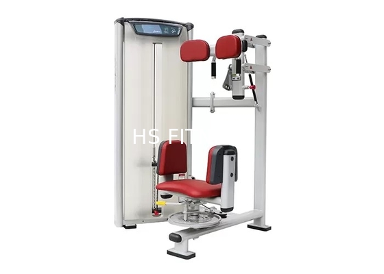 ODM het Commerciële Bodybuilding Roterende Torsomachine Elektrostatische Bespuiten