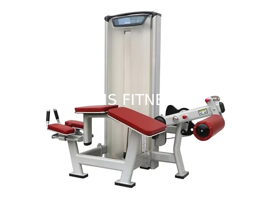 OEM van het de Trainingmateriaal van de Gymnastiekmatrijs van de het Beenkrul Naar voren gebogen de Oefeningsmachine