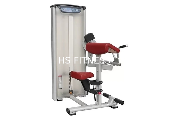 De Sterkte van de gymnastiekmatrijs de Machine van de de Bicepsenkrul van het Opleidingsmateriaal