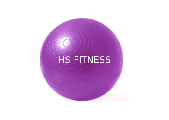 ODM van de Trainingtoebehoren van de Gymnastiekgeschiktheid de Bal van de de Yogaoefening