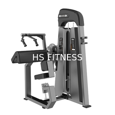 Commerciële Gezette Tricepsmachine voor de Training van de Gymnastiekclub