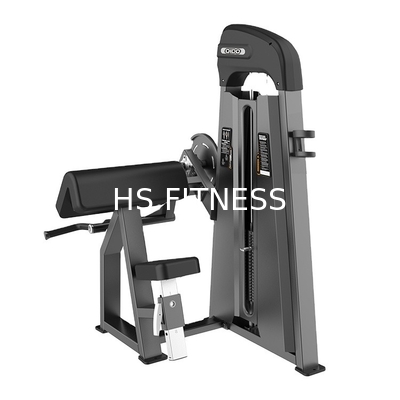 Machine van gymnastiek de Training Gezette Bicep voor Lichaam de Bouwsterkte